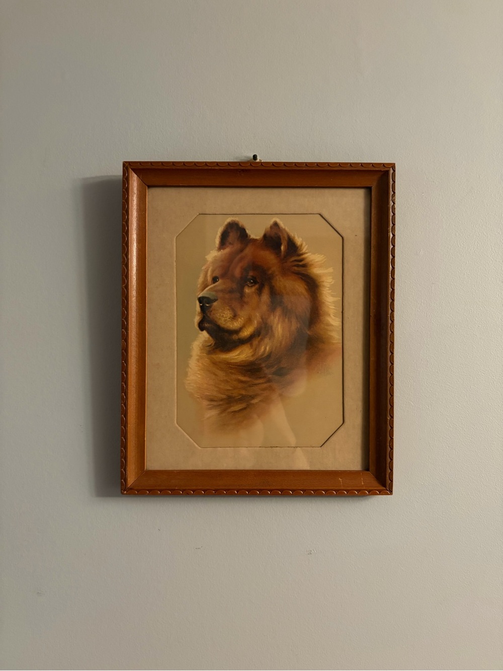 Vintage G.B. Fox Chow Chow Dog Portrait Print | Framed Chow Dog Art | Wall Art